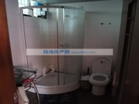 其它图