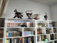 其它图