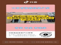 其它图