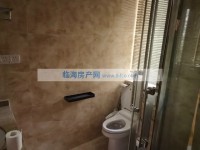 其它图